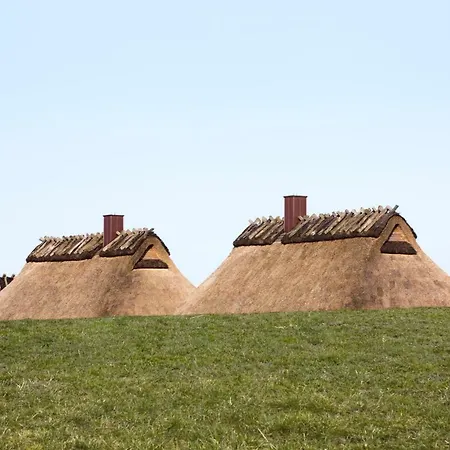 Luxus Reetdachhaus Salzwiese Ferienhaus Nieby (Nieby, Schleswig-Flensburg)