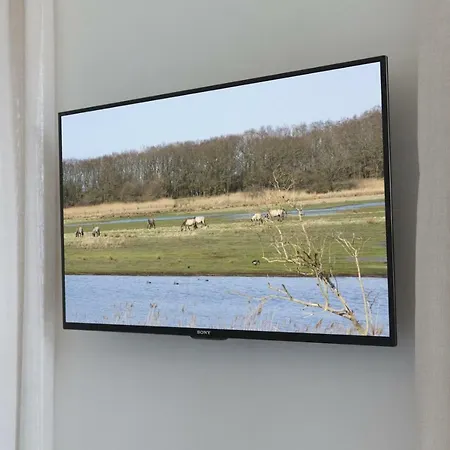 Luxus Reetdachhaus Salzwiese * Nieby (Nieby, Schleswig-Flensburg)